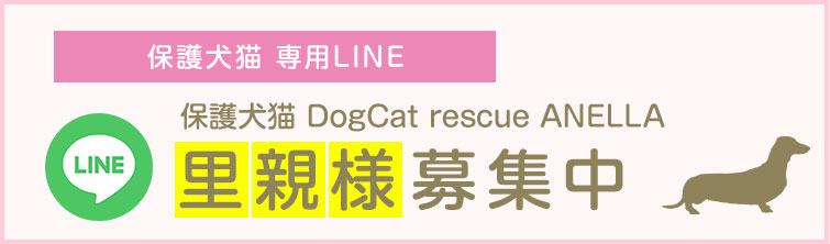 保護犬猫 専用LINE